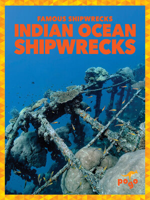 cover image of Indian Ocean Shipwrecks